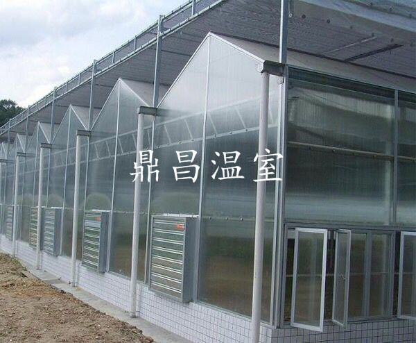 陽光板智能溫室3