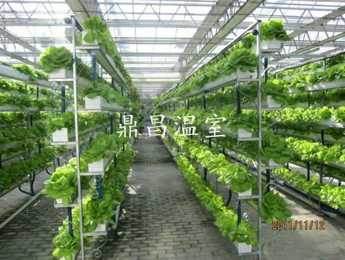 培育型玻璃溫室