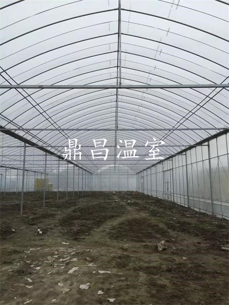 智能薄膜大棚