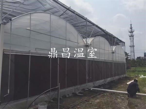 濕簾薄膜溫室