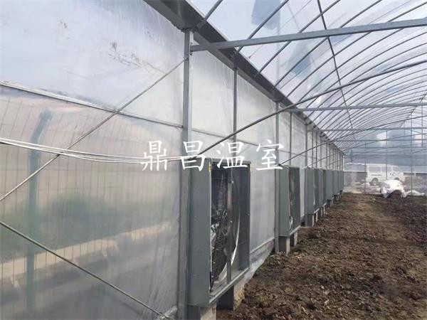 風(fēng)機(jī)薄膜溫室