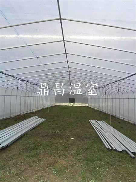 單體塑料管棚