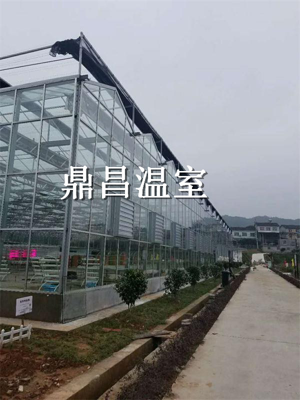 農科院玻璃溫室