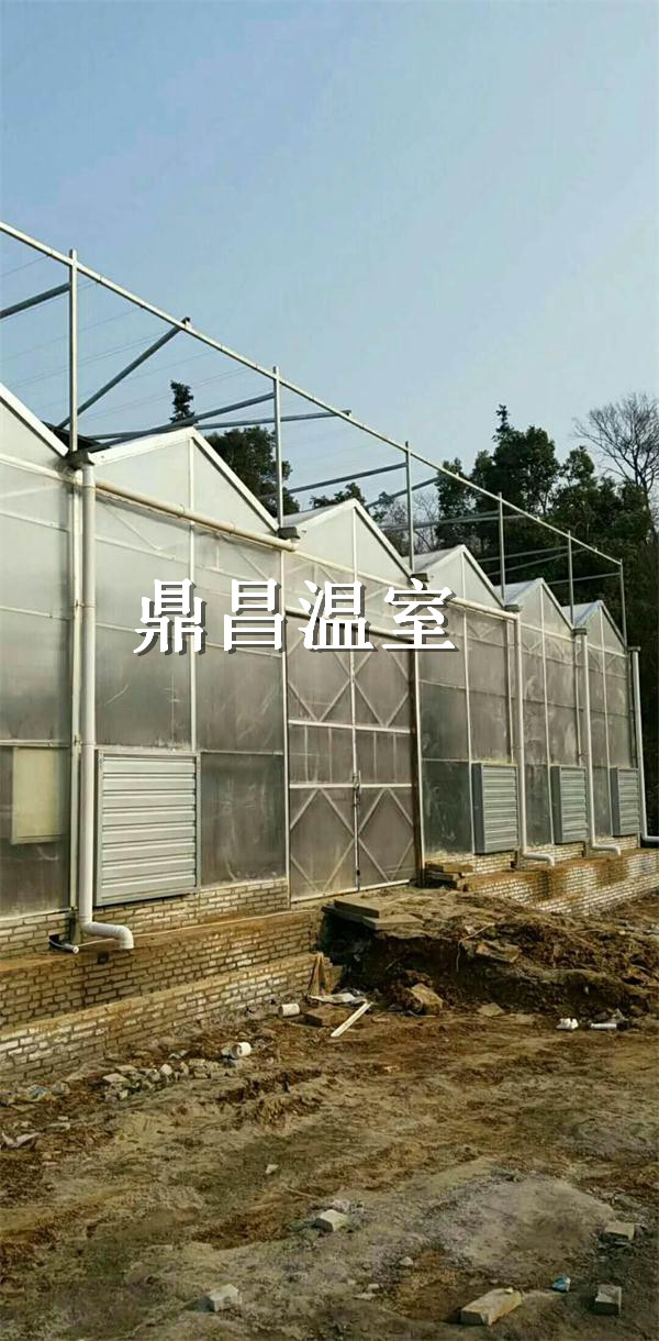 襄陽陽光板溫室