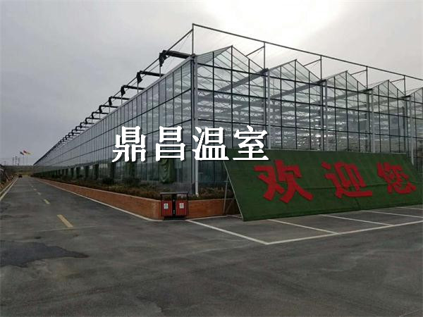 枝江花海玻璃溫室