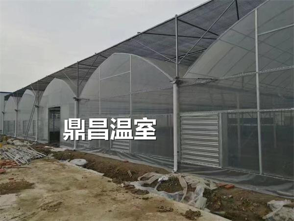 龍泉雷家畈藥材育苗基地