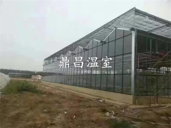 智能玻璃溫室1