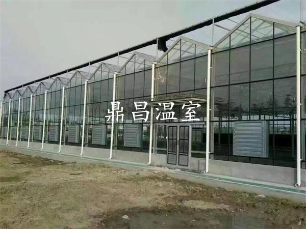 玻璃溫室大棚