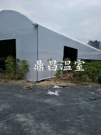 食用菌連體大棚