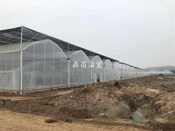 雙拱雙膜連體大棚