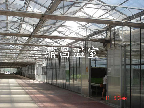 智能陽光板溫室