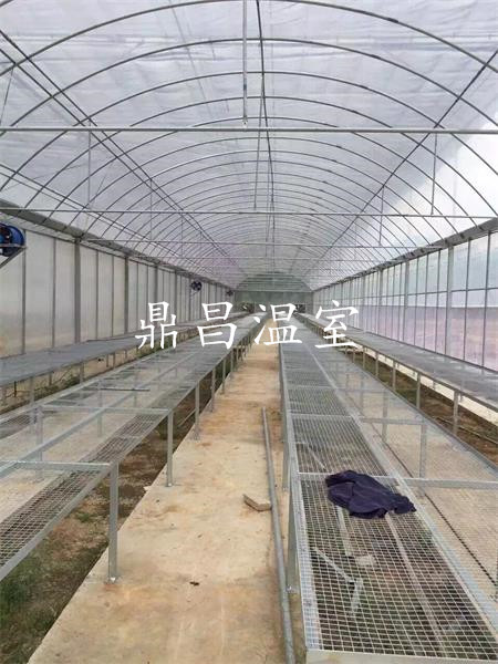 育苗溫室大棚2