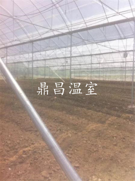 育苗溫室大棚5