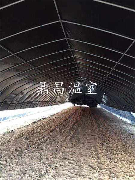 育苗溫室大棚7