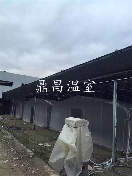 育苗溫室大棚8