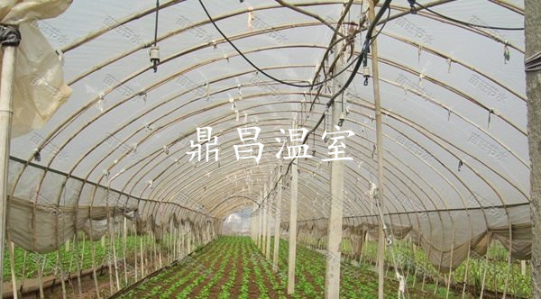 噴灌滴灌設(shè)施