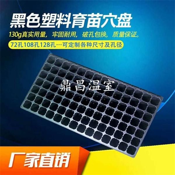 育苗穴盤