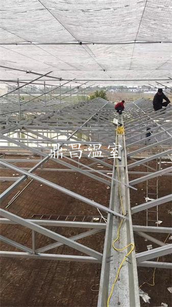 玻璃溫室骨架