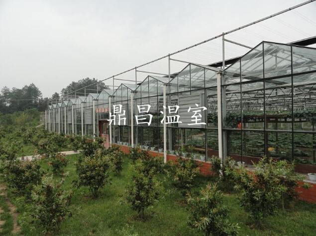 文洛式玻璃溫室