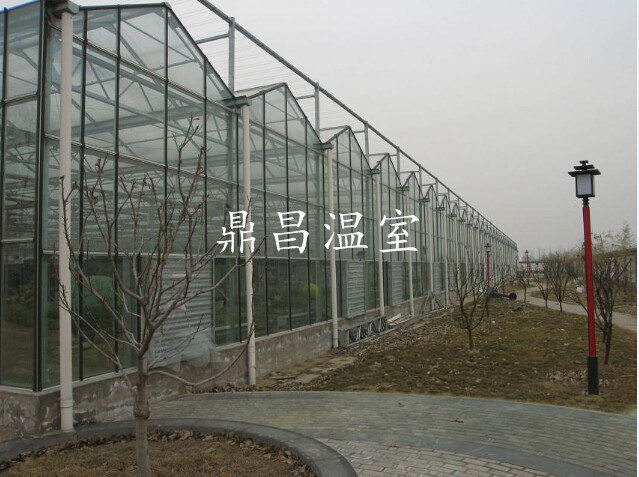 12米跨度玻璃溫室