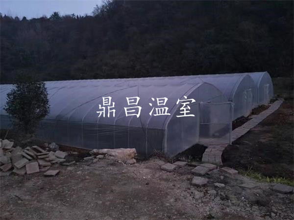 單體育苗大棚